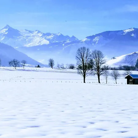Mit Terrasse Und Garten Apartment Saalfelden